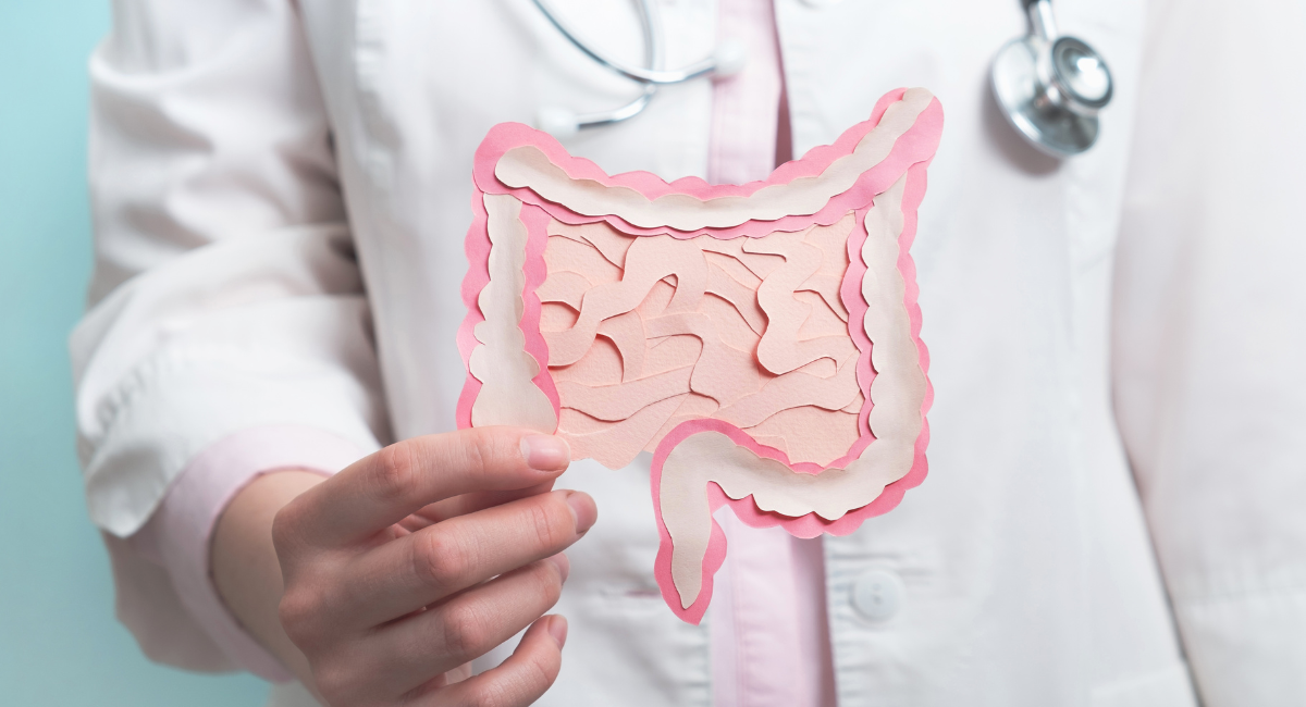 消化器内科で診る胃腸のイメージ